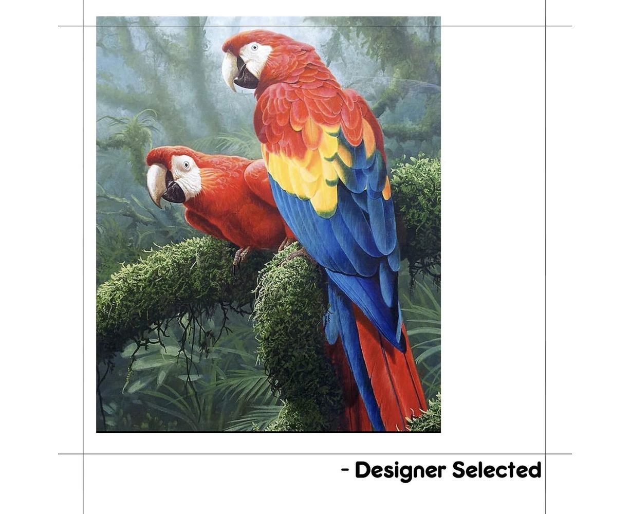 Paint By Numbers - Colourful Parrot