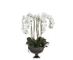 Rogue Phalaenopsis Full-Dahlia Bowl White/Glass 50x50x70cm