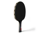 Summit Premium 4 Player 5 Ply Table Tennis TT Set w/4x Bats/3x Balls/Net/Post