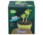 Mrs Green Magic Bean Growing Kit