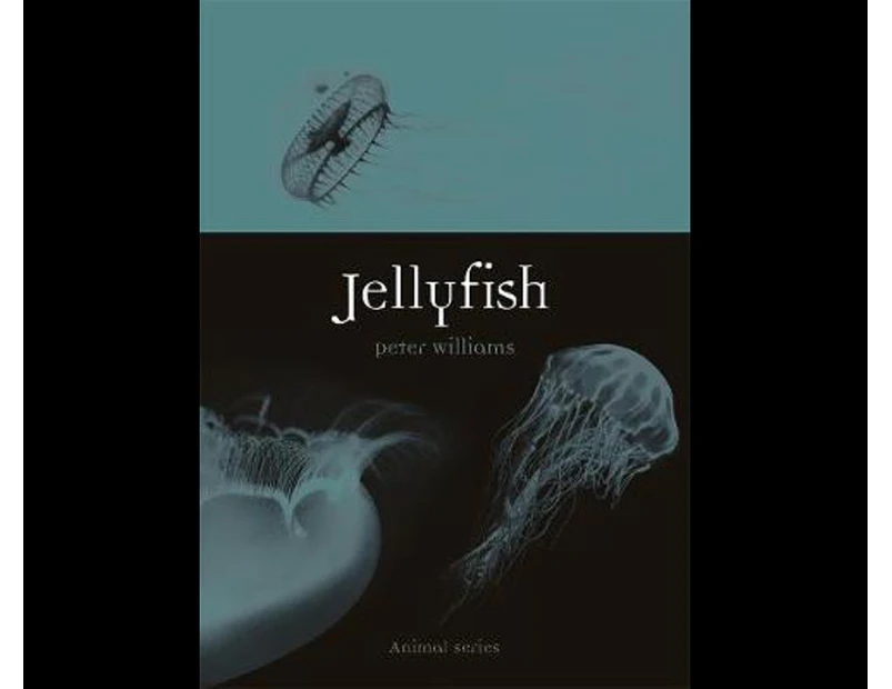 Jellyfish : Jellyfish