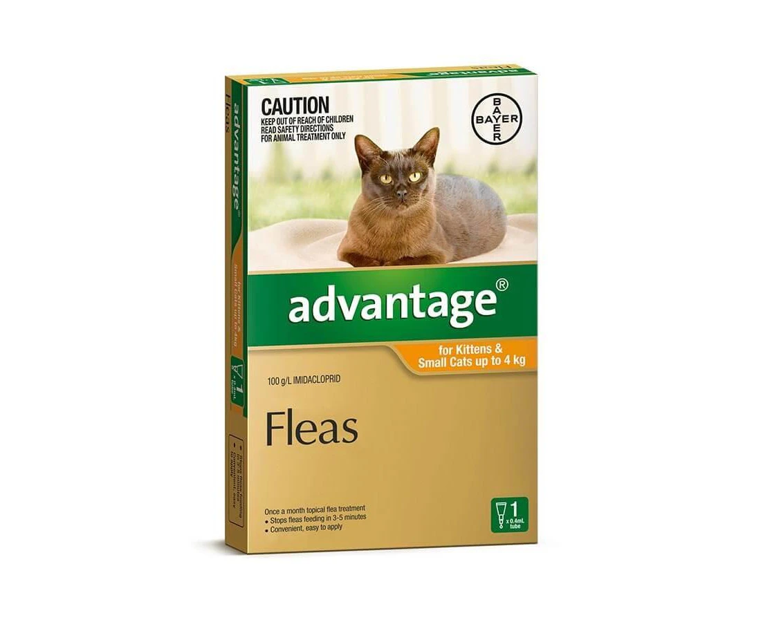 Advantage Small Cat Orange