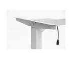 Mason Taylor 1600*800mm Electric Motorised Standing Desk Height Adjust Table Walnut/White