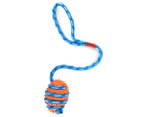 4 x Agape Ball w/ Spikes on Rope Dog Toy - Blue/Orange