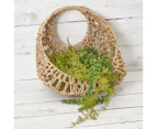 Cooper & Co. 2-Piece Hart Wall Plant Holder Set - Natural