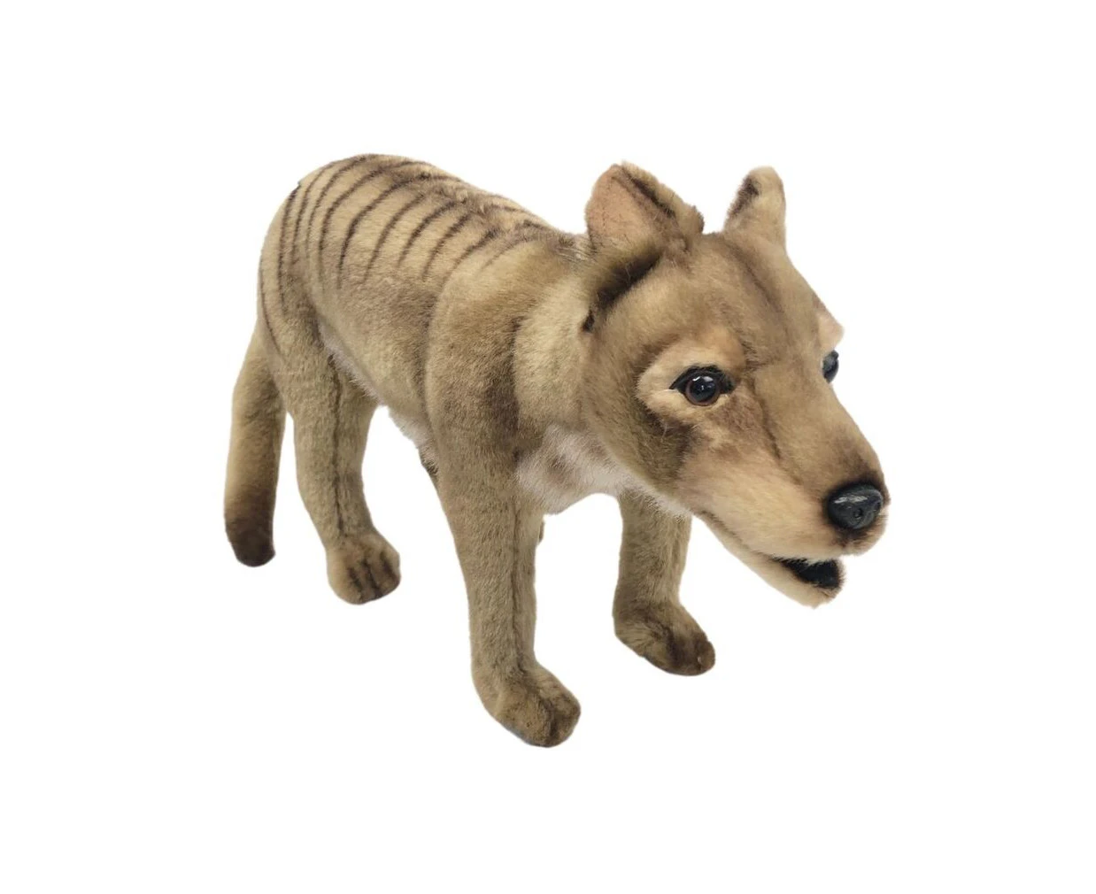 Tasmanian Tiger Soft Toy - Hansa