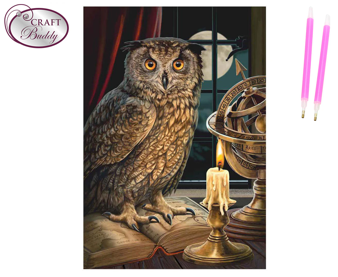 Craft Buddy - Crystal Art Picture - 40cm x 50cm - The Astrologer Owl