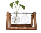 Glass And Wood Hydroponics Vase Planter Desktop Terrarium