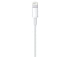 Apple Lightning to USB Cable (2m) - White 3