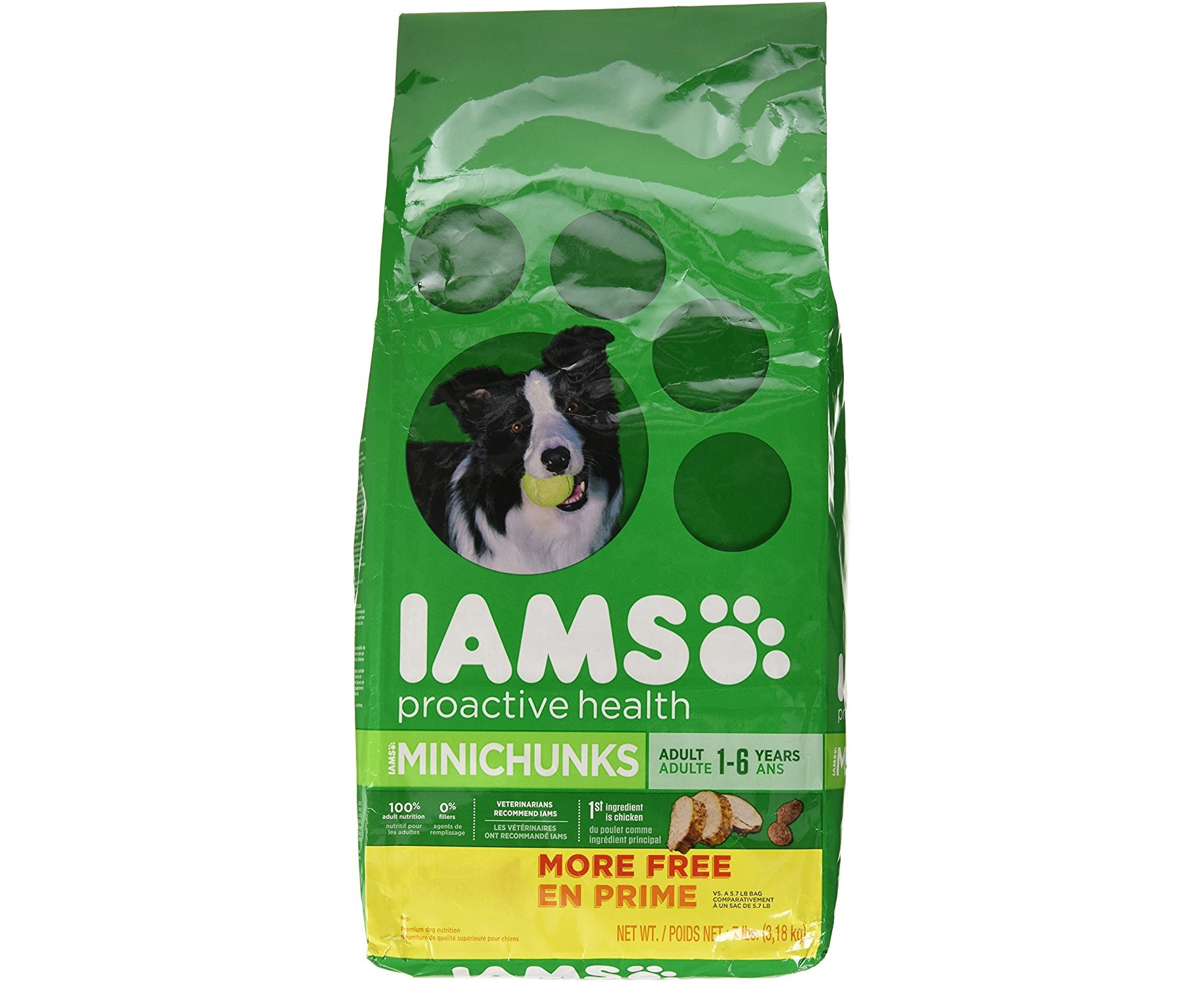 iams premium protection dog food