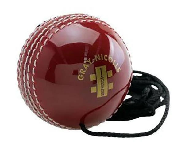 Gray Nicolls Cricket Batting Master Training Ball