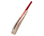 Gray Nicolls Ultra 600 Cricket Bat