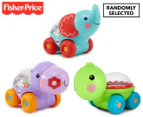 Fisher-Price Poppity Pop Toy - Randomly Selected