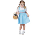 Dorothy The Wizard Of Oz Story Book Week Dress Up Toddler Girls Costume