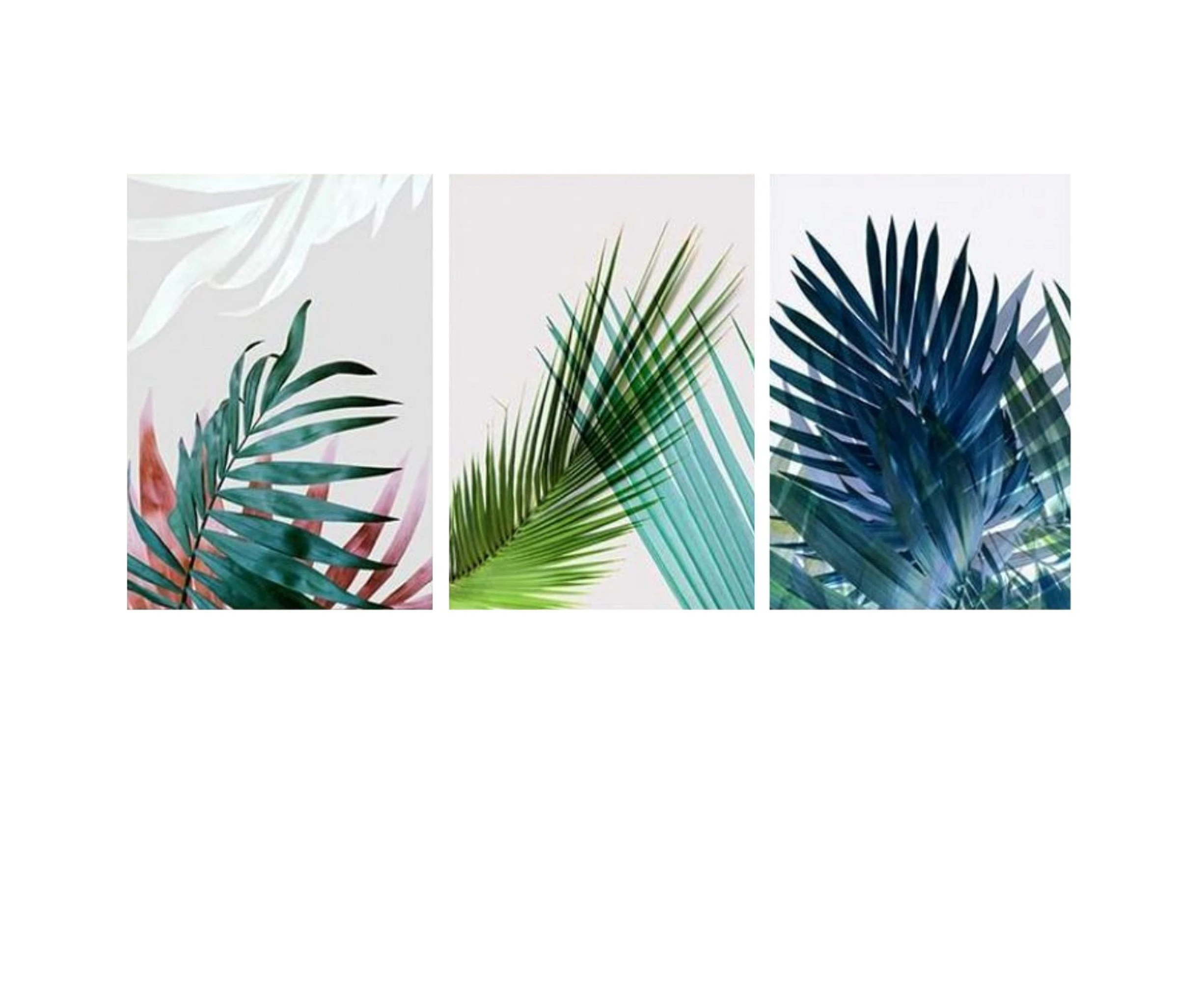 Minimalist Colour Leaves Wall Art Canvas Prints - 3 Pcs Set (50x70cm)