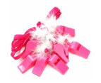 10 Pack Whistles Whistle Hot Pink Sports Cheerleader Hens Night Games Party