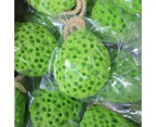 4 Pack Droplet Honeycomb Shower Bath Sponge