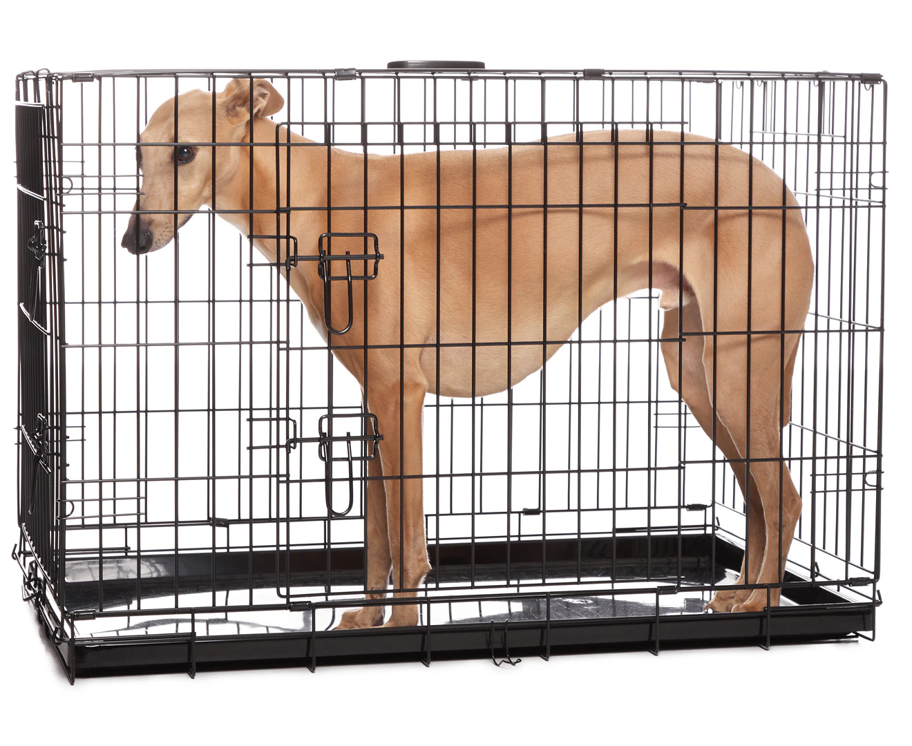 Royale 91cm Heavy Duty Wire Pet Crate & Carrier - Black