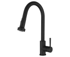WELS Brass Kitchen Mixer Tap Sink Faucet Pull Out 2-Mode 360° Swivel Matt black