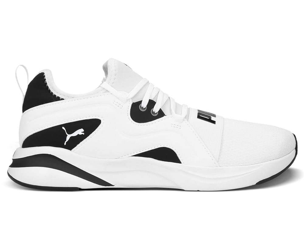 catch of the day puma