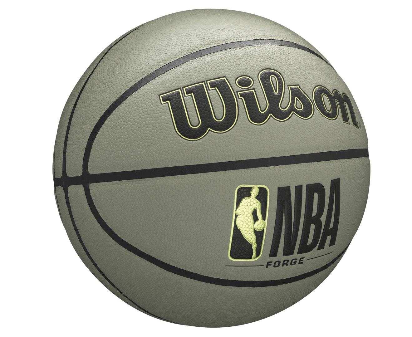 Wilson NBA Forge Team Mini Hoop