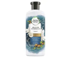 Herbal Essences Bio: Renew Argan Oil of Morocco Repair 90% Natural Origin Shampoo 400 ml