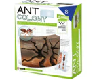 Science Kit - Create Your Own Ant Colony Jeanny