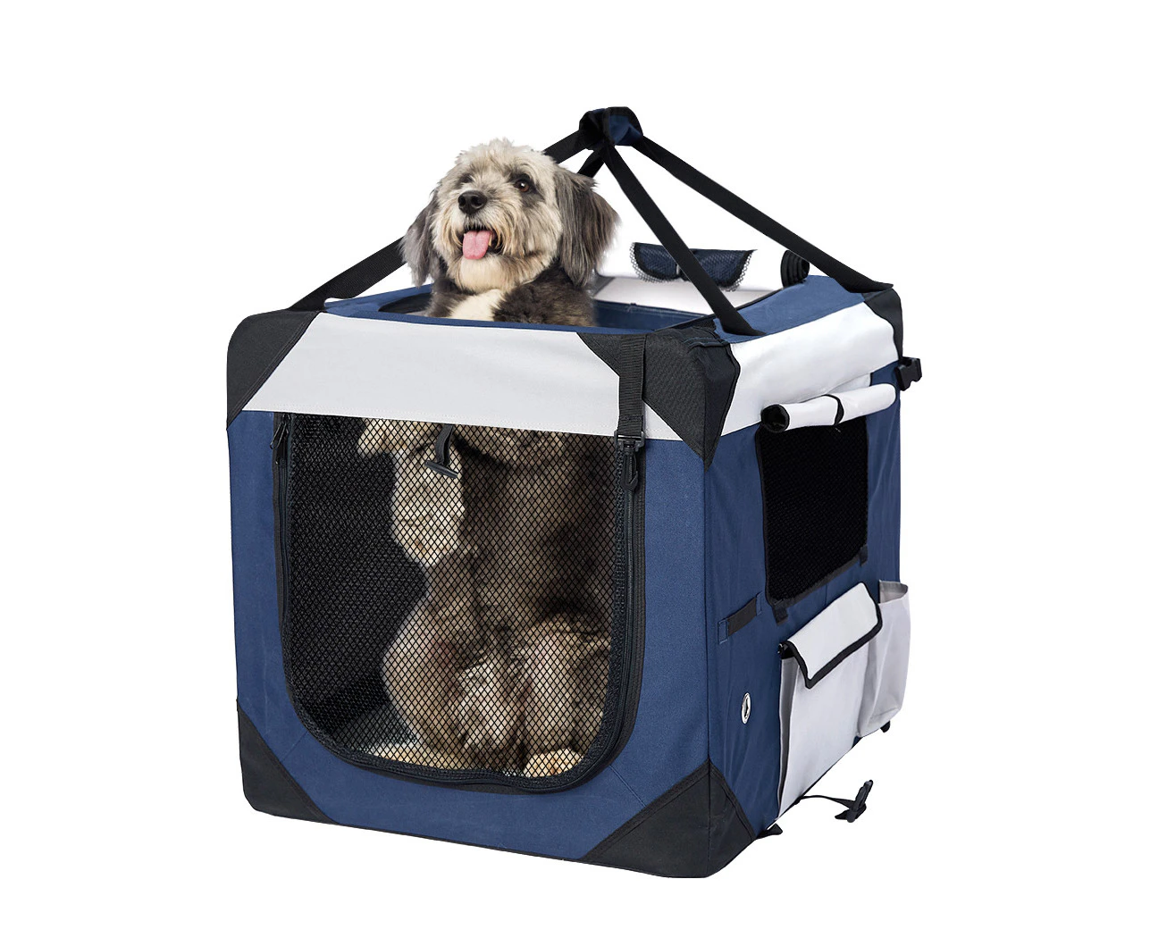 Pet Carrier Bag Dog Puppy Spacious Outdoor Travel Hand Portable Crate L