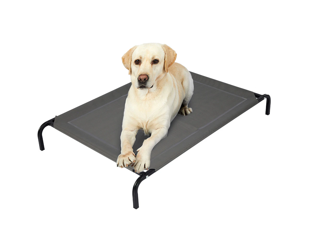 Pet Bed Dog Beds Bedding Sleeping Non-toxic Heavy Trampoline Grey M