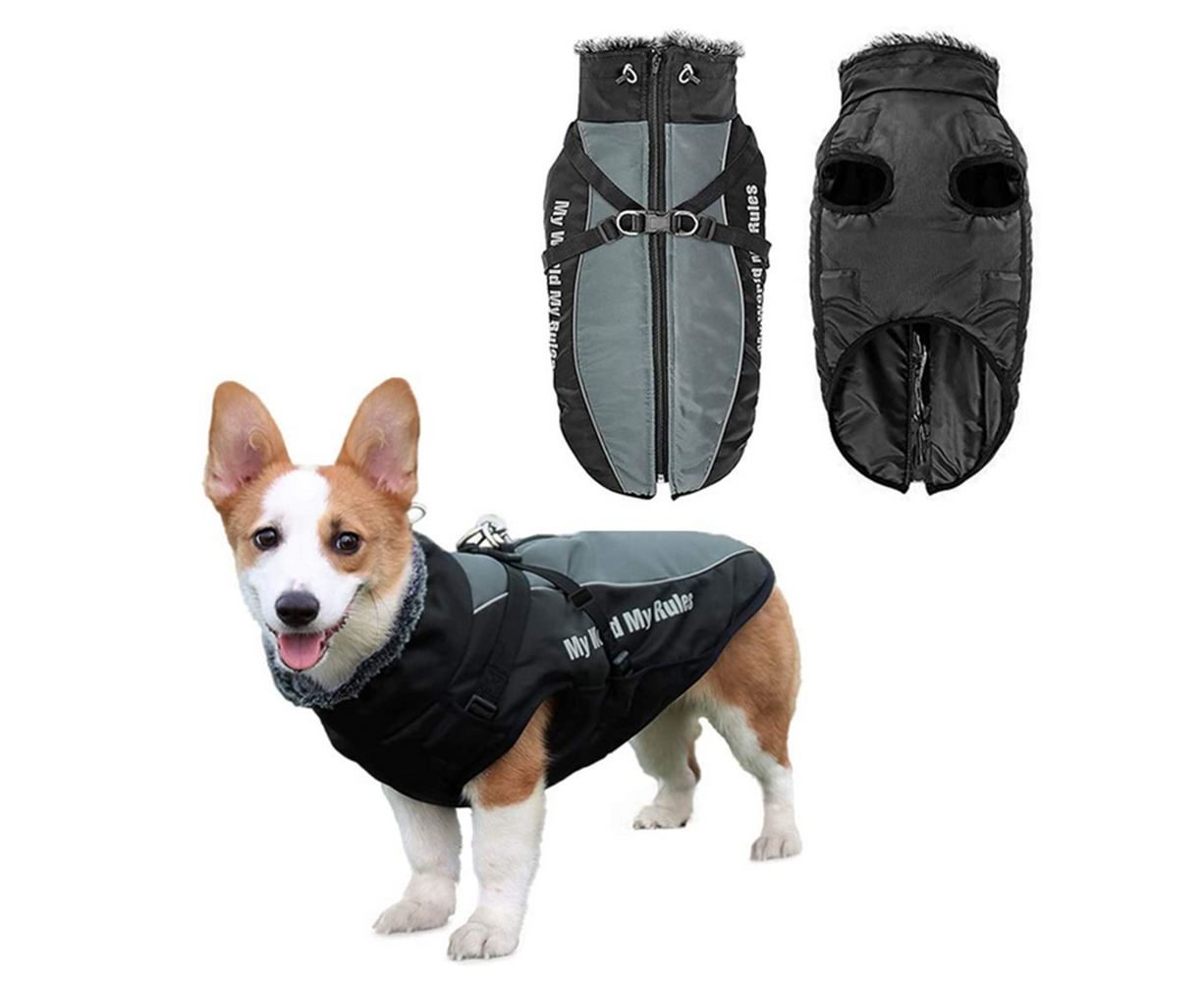 waterproof dog jacket with harness