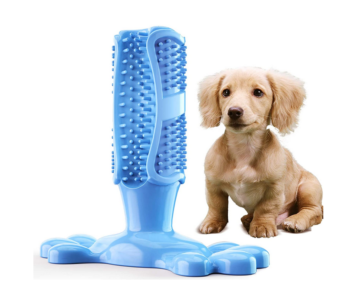 dog toothbrush chew toy