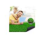45Mm 1X10M Artificial Grass Synthetic Turf Roll Gloss