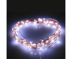 5Pcs 2M-10M Battery Powered LED Copper Wire String Fairy Xmas Party Lights - Cool White