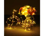 5Pcs 2M-10M Battery Powered LED Copper Wire String Fairy Xmas Party Lights - Warm White