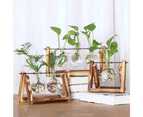 Indoor Plant Glass Pot Plant Terrarium with Wooden Stand Tabletop Glass Bulb Vase Home Garden Office Decoration - Triple Pot, One