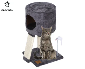 Catch of the hot sale day cat tree