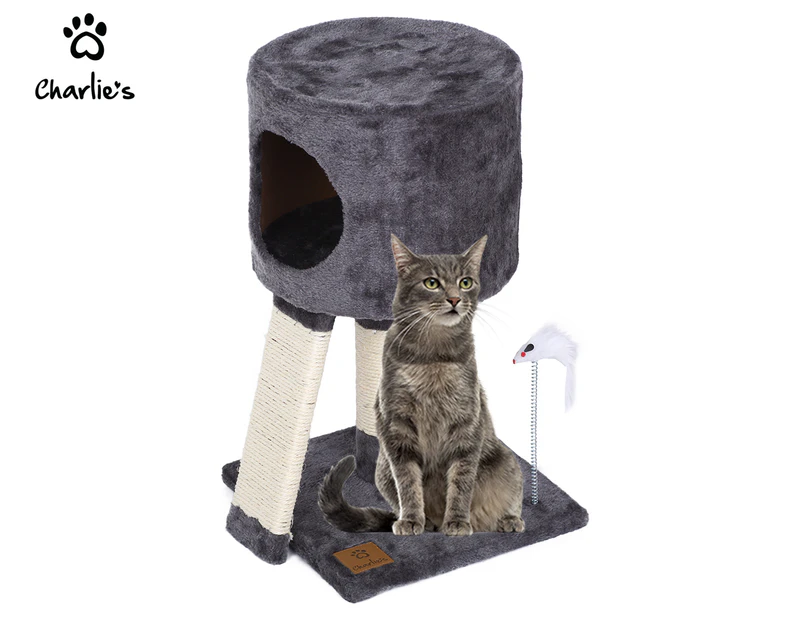 Charlie's 45cm Cat Tree Cubby w/ Scratching Slope - Charcoal