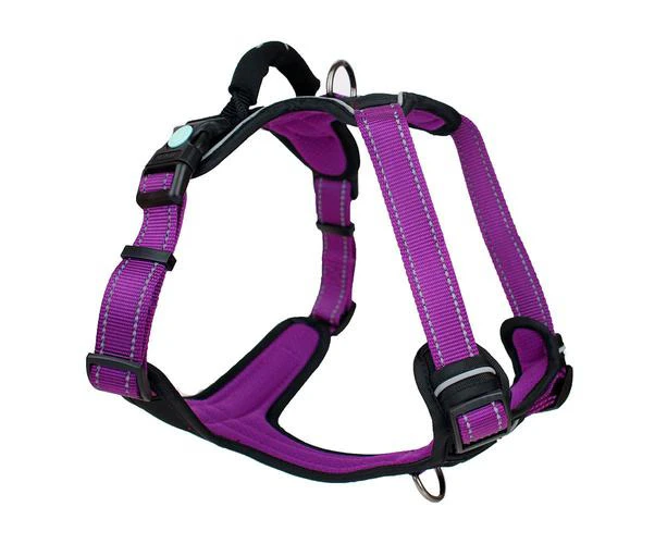 Dog Harness Ultimate (Aurora) - XS