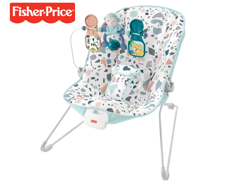 Fisher-Price Baby's First Bouncer