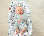 Fisher-Price Baby's First Bouncer