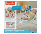 Fisher-Price Baby's First Bouncer