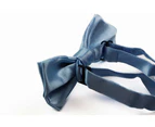Boys Light Blue Plain Bow Tie Polyester