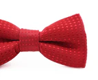Boys Red Polka Dot Pattern Bow Tie Polyester