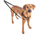 (Silver) - 2 Hounds Design Freedom No-Pull No Leash Harness Only, 2.5cm , Large