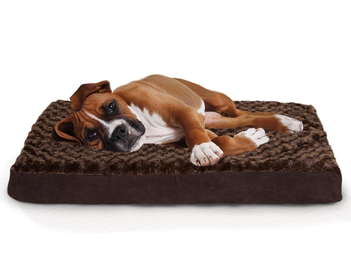 furhaven deluxe orthopedic pet bed mattress