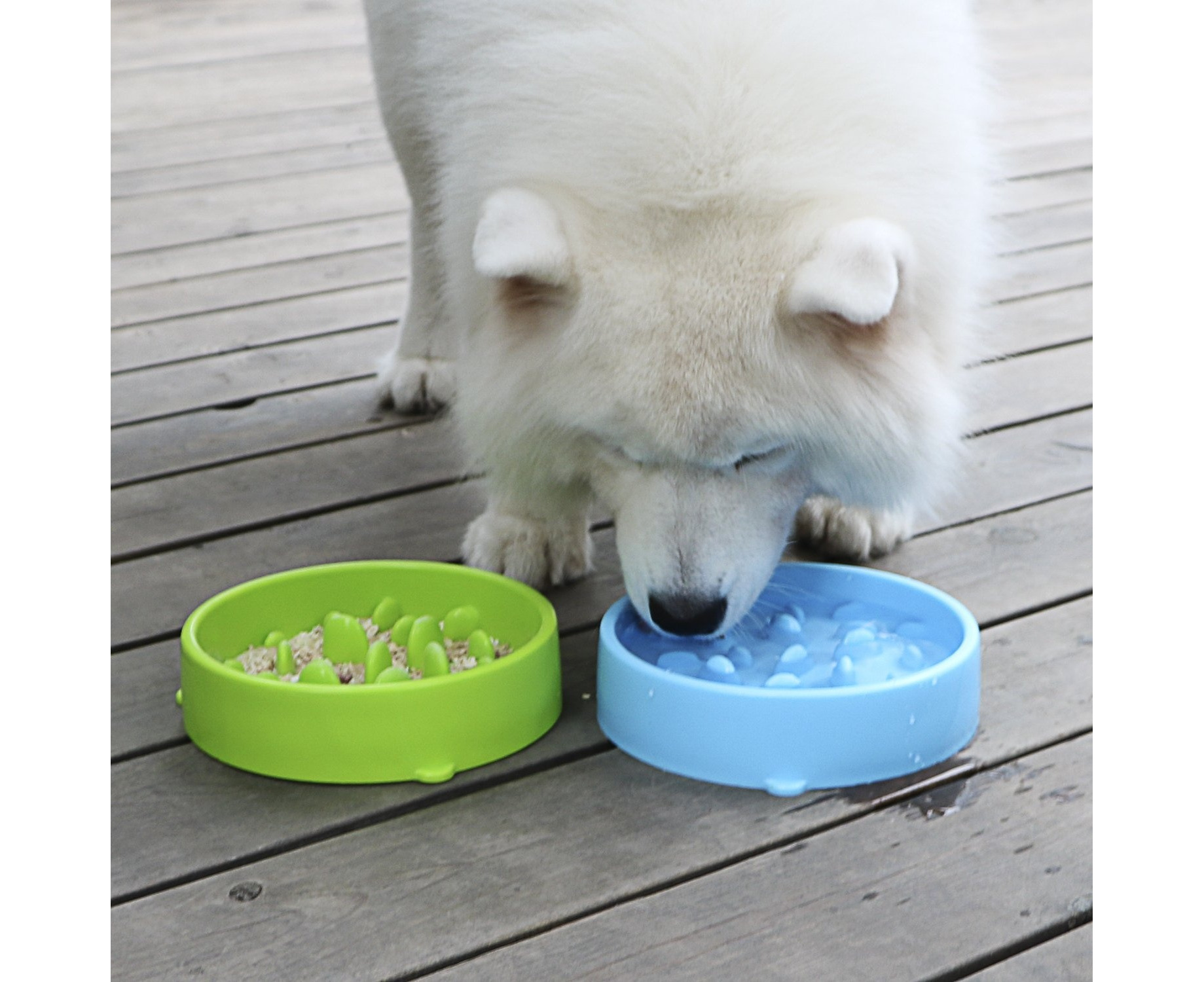 JASGOOD Dog Feeder Slow Eating Eco-Friendly Durable Non-Toxic Preventing  Choking Healthy Design Bowl for Pet Stop Bloat
