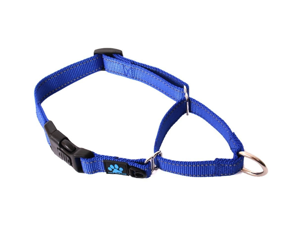 Max and clearance neo martingale collar