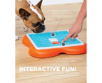 (Level 2 (Intermediate), Challenge Slider) - Nina Ottosson by Outward Hound - Interactive Puzzle Game Dog Toys