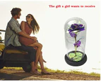 (Purple) - Beauty and The Beast Rose Lasts Forever in A Glass Dome Artificial Colourful Roses Flower Gift for Mother's Day Valentine's Day Wedding Annivers