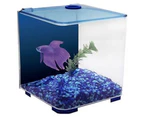 Betta Style Acrylic Siamese Fighting Fish Tank - Blue - 3 Litres (Aqua One)